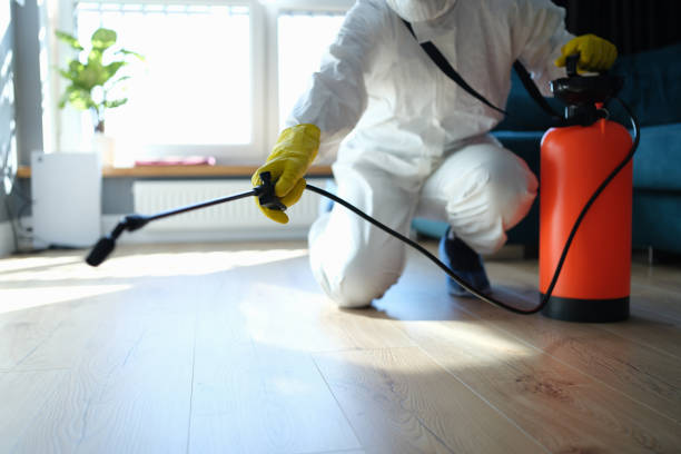 Best Best Pest Control Companies  in Lochsloy, WA