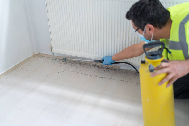 Pest Control Cost in Lochsloy, WA