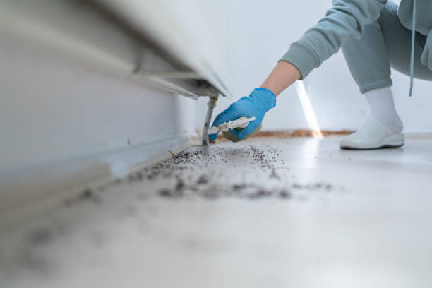 Professional Pest Control in Lochsloy, WA