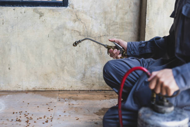 Best Emergency Pest Control  in Lochsloy, WA